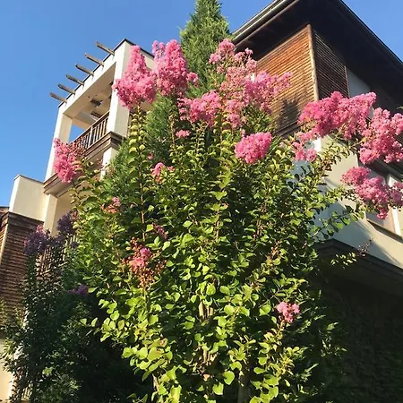 Tiny Bijou Sea View - Santa Marina -